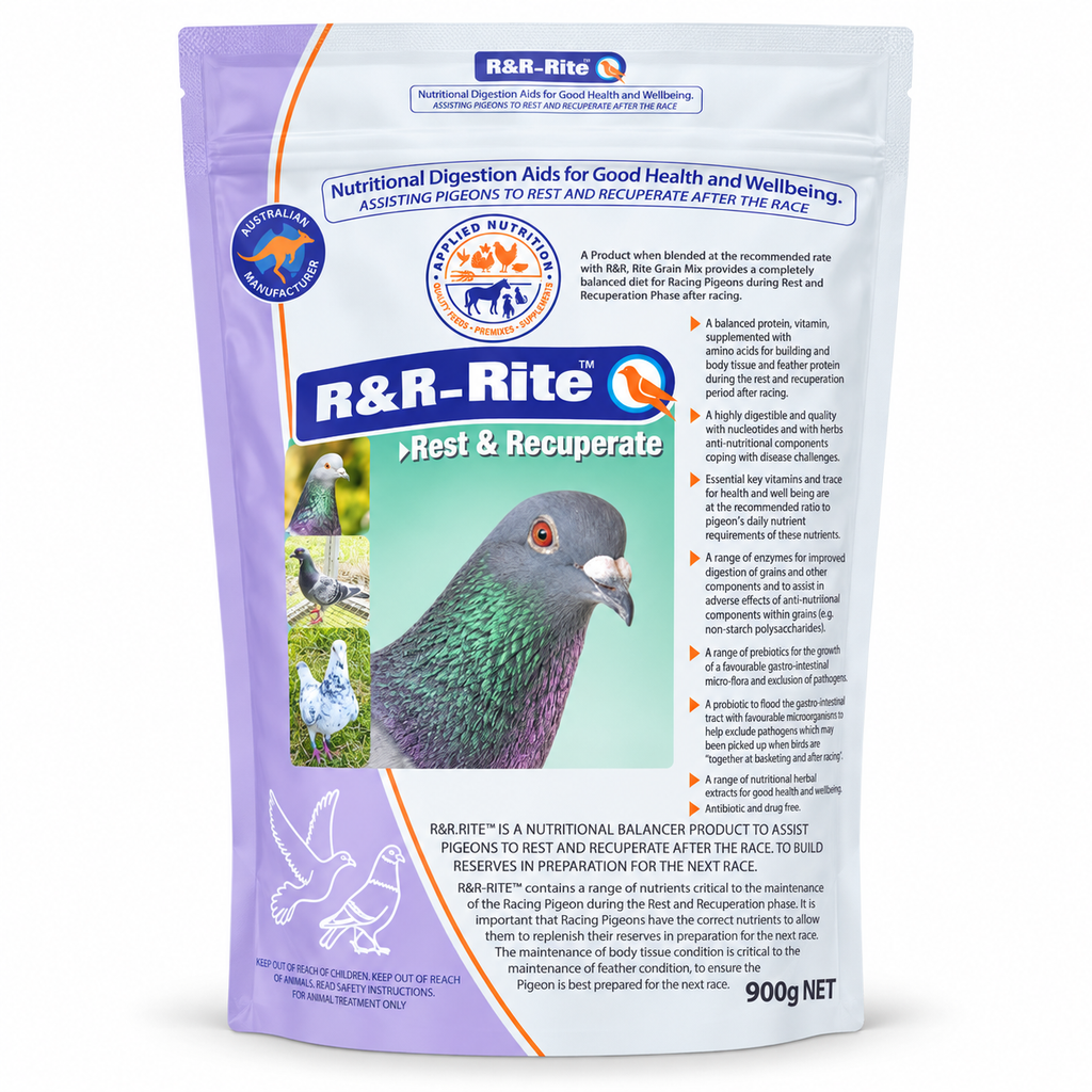 Applied Nutrition R&R-Rite Rest and Recuperate 900g front